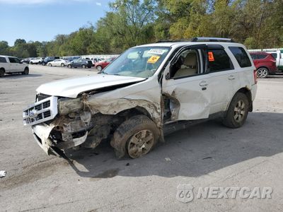 2012 FORD ESCAPE LIMITED 1FMCU0EG4CKB40192 - główne zdjęcie licytacji z USA - miniatura