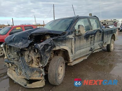 2023 FORD F250 SUPER DUTY 1FT7W2BA6PED85818 - główne zdjęcie licytacji z USA - miniatura