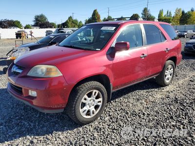 2004 ACURA MDX TOURING 2HNYD18804H540872 - główne zdjęcie licytacji z USA - miniatura