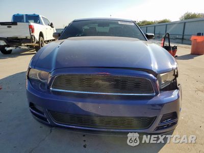Piąte zdjęcie samochodu w środku: 2013 FORD MUSTANG VIN:1ZVBP8AM0D5274762 - miniatura
