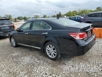 Drugie zdjęcie samochodu z przodu: 2010 LEXUS ES 350 VIN:JTHBK1EG8A2390204 - miniatura