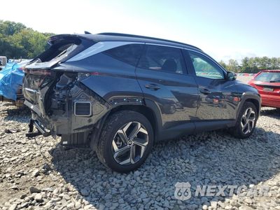 Trzecie zdjęcie samochodu z tyłu: 2024 HYUNDAI TUCSON LIMITED VIN:5NMJECDEXRH344316 - miniatura