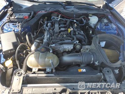 Zdjęcie 11 z 14 samochodu: 2017 FORD MUSTANG VIN:1FA6P8TH3H5296299 - miniatura