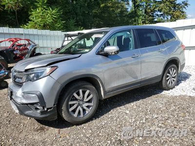 2021 HONDA PILOT EXL 5FNYF6H53MB050001 - główne zdjęcie licytacji z USA - miniatura