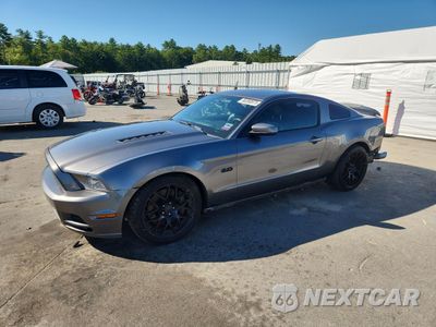 2014 FORD MUSTANG GT 1ZVBP8CF6E5237053 - główne zdjęcie licytacji z USA - miniatura