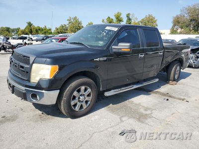 2013 FORD F150 SUPERCREW 1FTFW1EF6DKE44313 - główne zdjęcie licytacji z USA - miniatura