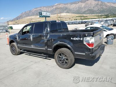 Drugie zdjęcie samochodu z przodu: 2013 FORD F150 SUPERCREW VIN:1FTFW1EF3DFA60028 - miniatura