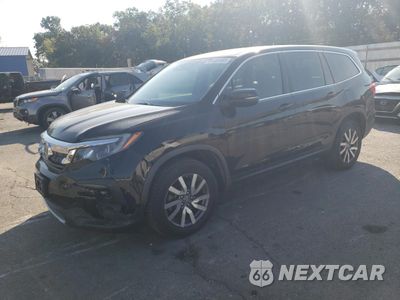 2019 HONDA PILOT EXL 5FNYF6H5XKB019101 - główne zdjęcie licytacji z USA - miniatura
