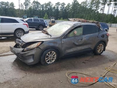 2022 FORD ESCAPE SE 1FMCU0G6XNUB98724 - główne zdjęcie licytacji z USA - miniatura