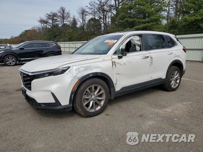 2024 HONDA CR-V EXL 2HKRS4H75RH463035 - główne zdjęcie licytacji z USA - miniatura