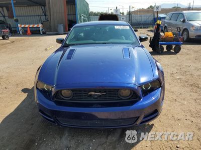 Piąte zdjęcie samochodu w środku: 2014 FORD MUSTANG GT VIN:1ZVBP8CF9E5263758 - miniatura