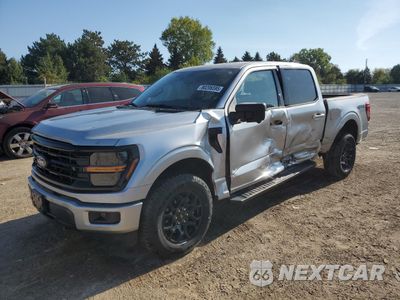 2024 FORD F150 XLT 1FTFW3LD5RFA15189 - główne zdjęcie licytacji z USA - miniatura