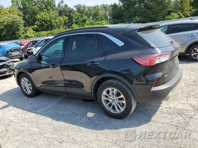 Drugie zdjęcie samochodu z przodu: 2020 FORD ESCAPE SE VIN:1FMCU0G61LUC20512 - miniatura