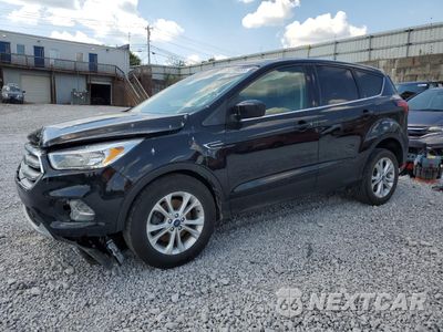 2019 FORD ESCAPE SE 1FMCU9GD2KUB38435 - główne zdjęcie licytacji z USA - miniatura