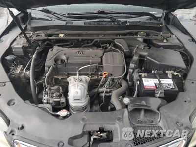 Zdjęcie 11 z 12 samochodu: 2015 ACURA TLX VIN:19UUB1F33FA001571 - miniatura
