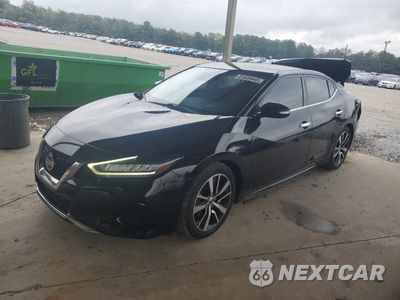 2022 NISSAN MAXIMA SV 1N4AA6CV6NC502566 - główne zdjęcie licytacji z USA - miniatura