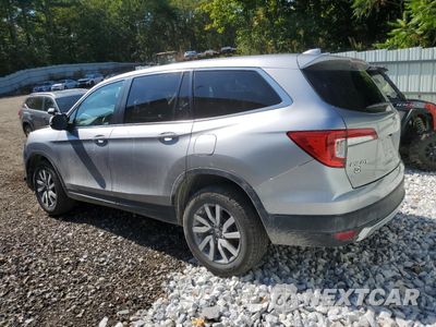 Drugie zdjęcie samochodu z przodu: 2021 HONDA PILOT EXL VIN:5FNYF6H53MB050001 - miniatura