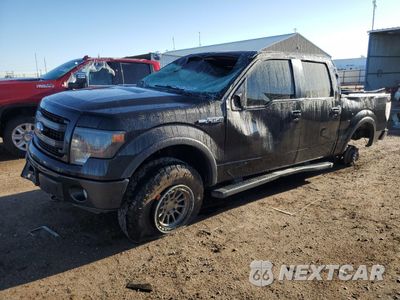 2013 FORD F150 SUPERCREW 1FTFW1EF0DKG01950 - główne zdjęcie licytacji z USA - miniatura