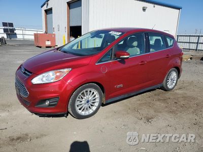 2013 FORD C-MAX PREMIUM 1FADP5CU7DL540030 - główne zdjęcie licytacji z USA - miniatura