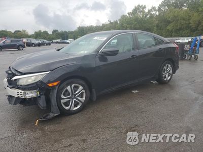 2016 HONDA CIVIC LX 2HGFC2F55GH509184 - główne zdjęcie licytacji z USA - miniatura
