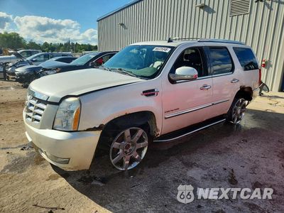 2010 CADILLAC ESCALADE LUXURY 1GYUKBEF0AR172217 - główne zdjęcie licytacji z USA - miniatura