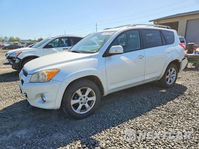 2009 TOYOTA RAV4 LIMITED JTMBF31V695011667 - główne zdjęcie licytacji z USA - miniatura