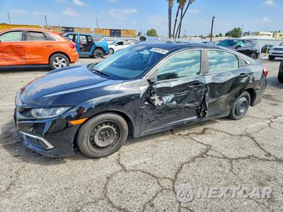 2021 HONDA CIVIC LX 2HGFC2F67MH547780 - główne zdjęcie licytacji z USA - miniatura