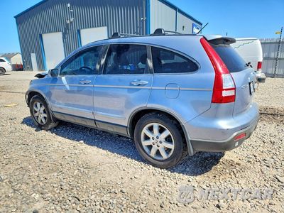 Drugie zdjęcie samochodu z przodu: 2007 HONDA CR-V EXL VIN:JHLRE48747C001942 - miniatura