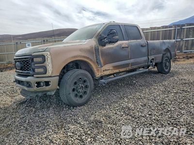 2025 FORD F350 SUPER DUTY 1FT8W3BT3SED94531 - główne zdjęcie licytacji z USA - miniatura