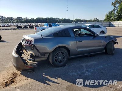 Trzecie zdjęcie samochodu z tyłu: 2014 FORD MUSTANG VIN:1ZVBP8AM4E5244620 - miniatura