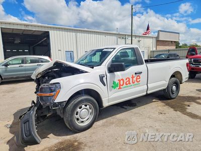2024 FORD F150 XL 1FTMF1KP6RKD12423 - główne zdjęcie licytacji z USA - miniatura