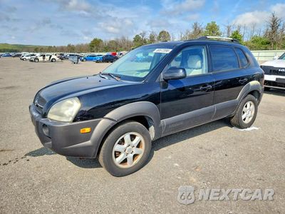2005 HYUNDAI TUCSON GLS KM8JN12D45U068406 - główne zdjęcie licytacji z USA - miniatura
