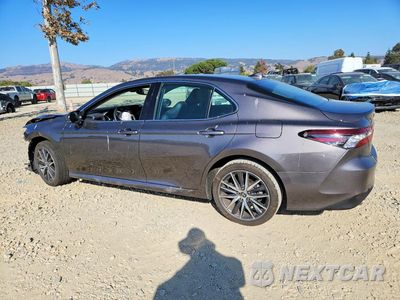 Drugie zdjęcie samochodu z przodu: 2024 TOYOTA CAMRY XLE VIN:4T1F31AK1RU626147 - miniatura
