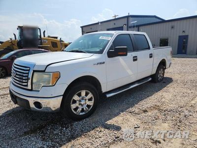2010 FORD F150 SUPERCREW 1FTFW1CV1AFD02045 - główne zdjęcie licytacji z USA - miniatura