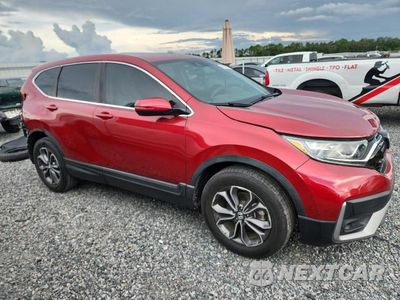 Czwarte zdjęcie samochodu z boku: 2020 HONDA CR-V EX VIN:7FARW2H5XLE019635 - miniatura