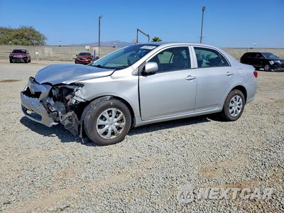 2010 TOYOTA COROLLA LE 1NXBU4EE4AZ299457 - główne zdjęcie licytacji z USA - miniatura
