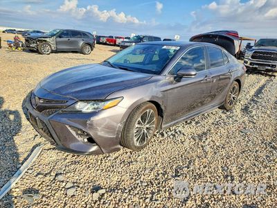 2019 TOYOTA CAMRY SE 4T1B11HK6KU247354 - główne zdjęcie licytacji z USA - miniatura