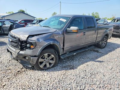 2013 FORD F150 SUPERCREW 1FTFW1EF5DKF01925 - główne zdjęcie licytacji z USA - miniatura