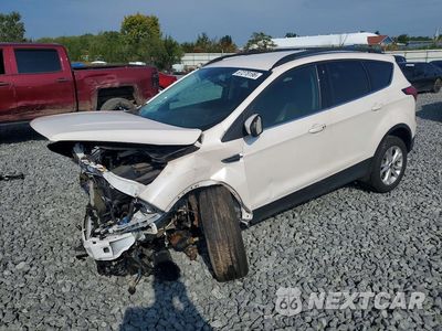 2019 FORD ESCAPE SEL 1FMCU9HD2KUA46112 - główne zdjęcie licytacji z USA - miniatura