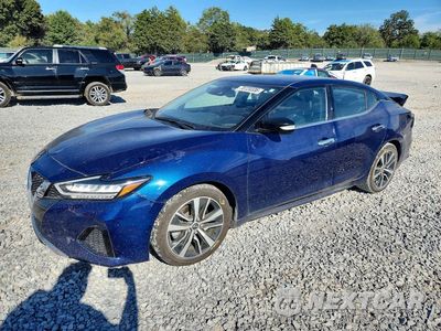 2023 NISSAN MAXIMA SV 1N4AA6CV5PC511097 - główne zdjęcie licytacji z USA - miniatura