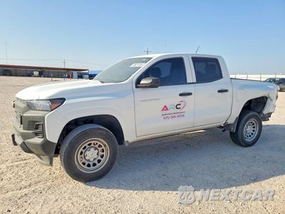 2024 CHEVROLET COLORADO 1GCPSBEK9R1285738 - główne zdjęcie licytacji z USA - miniatura