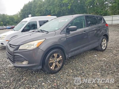 2016 FORD ESCAPE SE 1FMCU9GX8GUA88416 - główne zdjęcie licytacji z USA - miniatura