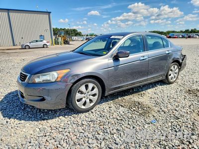 2010 HONDA ACCORD EXL 1HGCP3F89AA001507 - główne zdjęcie licytacji z USA - miniatura