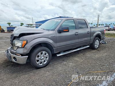 2014 FORD F150 SUPERCREW 1FTFW1CF7EFC05415 - główne zdjęcie licytacji z USA - miniatura