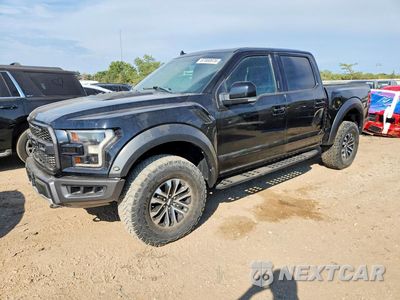 2019 FORD F150 RAPTOR 1FTFW1RG7KFB28069 - główne zdjęcie licytacji z USA - miniatura