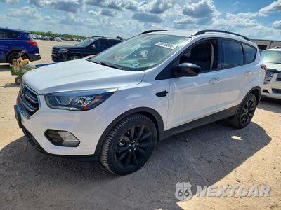 2019 FORD ESCAPE SE 1FMCU9GD5KUB07373 - główne zdjęcie licytacji z USA - miniatura