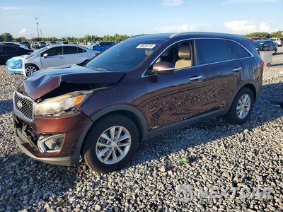 2016 KIA SORENTO LX 5XYPGDA30GG072203 - główne zdjęcie licytacji z USA - miniatura