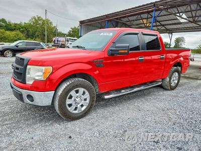 2012 FORD F150 SUPERCREW 1FTEW1CM6CFC68500 - główne zdjęcie licytacji z USA - miniatura