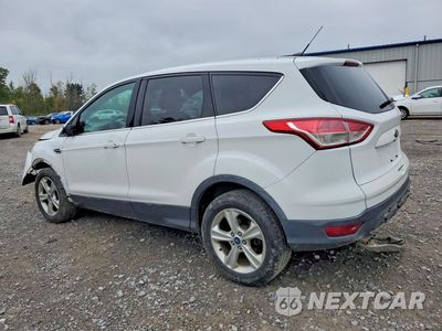 Drugie zdjęcie samochodu z przodu: 2014 FORD ESCAPE SE VIN:1FMCU0G96EUD32591 - miniatura