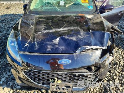 Zdjęcie 12 z 13 samochodu: 2020 FORD ESCAPE SE VIN:1FMCU9G63LUA90320 - miniatura